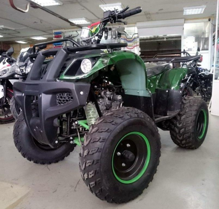 Квадроцикл ATV Avenger Evo, фото 2