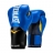Перчатки тренировочные Elite ProStyle 10oz 
