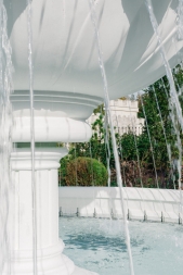 Эдемский сердечник, фото 4