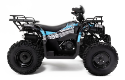 Квадроцикл SHARMAX Activator 250, фото 5 Квадроцикл SHARMAX Activator 250, фото 5