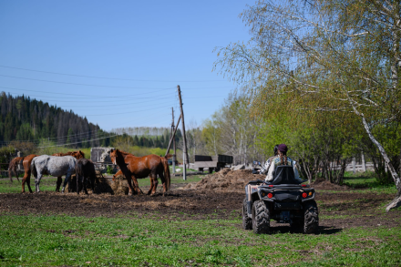Квадроцикл AODES Pathcross MAX 650 28Q, фото 10