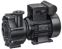 Насос без префильтра Speck Badu 21-40 58 G 220B