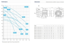 Насос без префильтра Speck Badu 21-40 58 G 220B