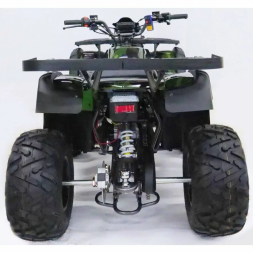 Квадроцикл MOTAX ATV Grizlik 200 Lux (с лебедкой), фото 6