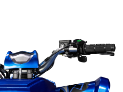 Квадроцикл SHARMAX Cross 180 RX, фото 11 Квадроцикл SHARMAX Cross 180 RX, фото 11