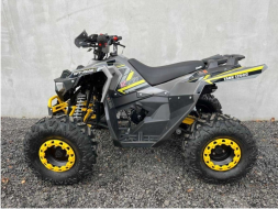 Квадроцикл FXMOTO Tank 125, фото 2