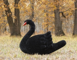 Топиари  2 лебедя черных Блэк - газон Eco , фото 2