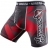 Шорты Hayabusa hayshorts058
