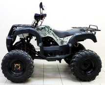 Квадроцикл ATV Avenger Tungus 250