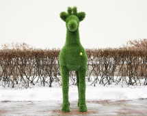 Топиари косуля, самец Рони - газон Deluxe Топиари косуля, самец Рони - газон Deluxe