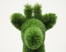 Топиари косуля, самец Рони - газон Deluxe Топиари косуля, самец Рони - газон Deluxe