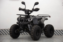 Квадроцикл UNIVERSAL ATV 125 TM Classic