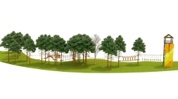 Веревочный парк на деревьях Дорога вверх, фото 1