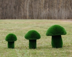 Топиари Гриб белый, размер S - газон Premium, фото 5