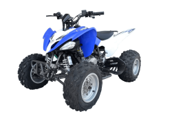 Квадроцикл ATV Pantera 200 CVT, фото 1