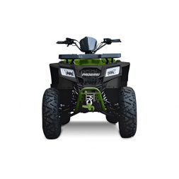 Квадроцикл Progasi Race Jumper 200, фото 8 Квадроцикл Progasi Race Jumper 200, фото 8
